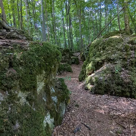 Apartament Viola Breitenstein