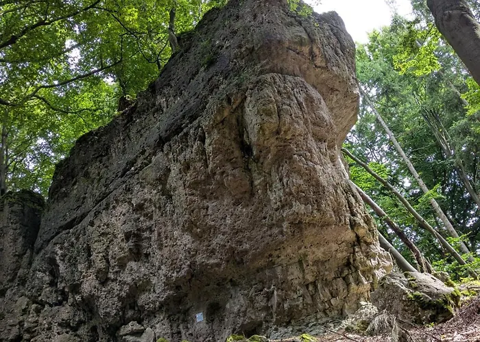 アパート Viola Breitenstein