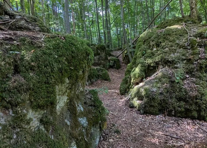 شقة Viola Breitenstein