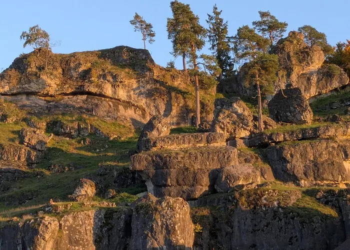 Viola アパート *